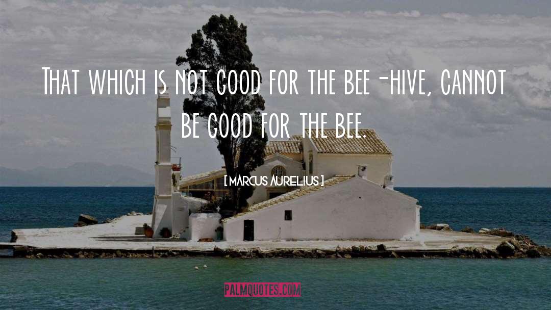 Honey Bee quotes by Marcus Aurelius