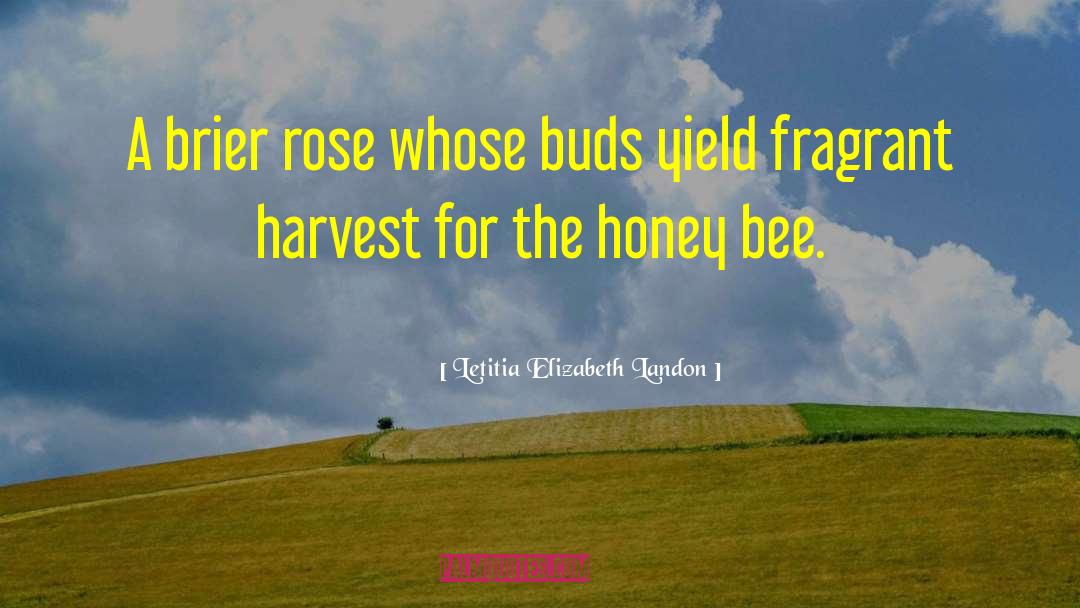 Honey Bee quotes by Letitia Elizabeth Landon