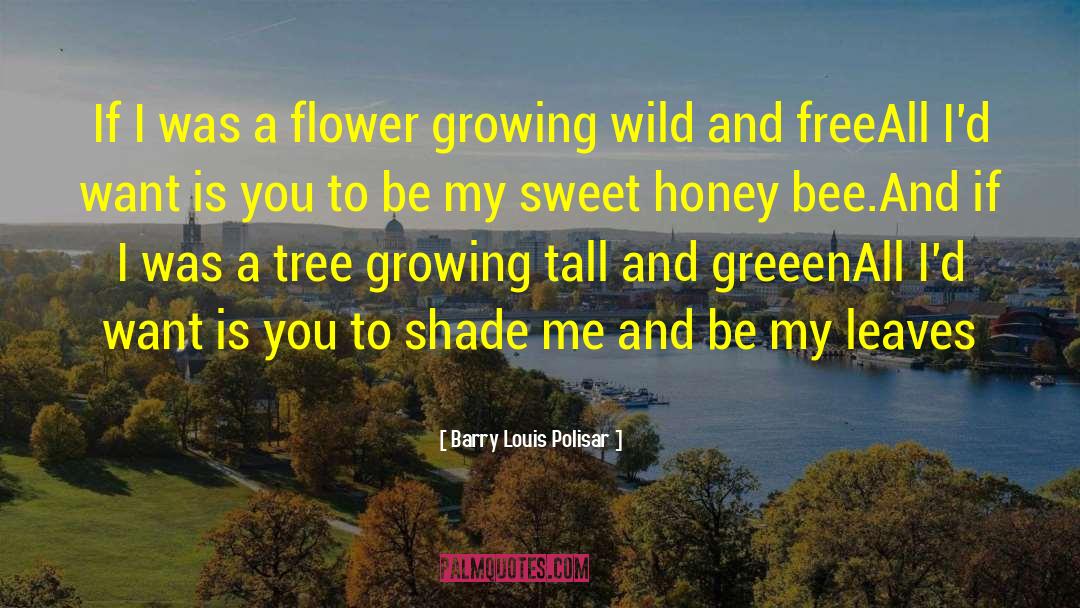 Honey Bee quotes by Barry Louis Polisar
