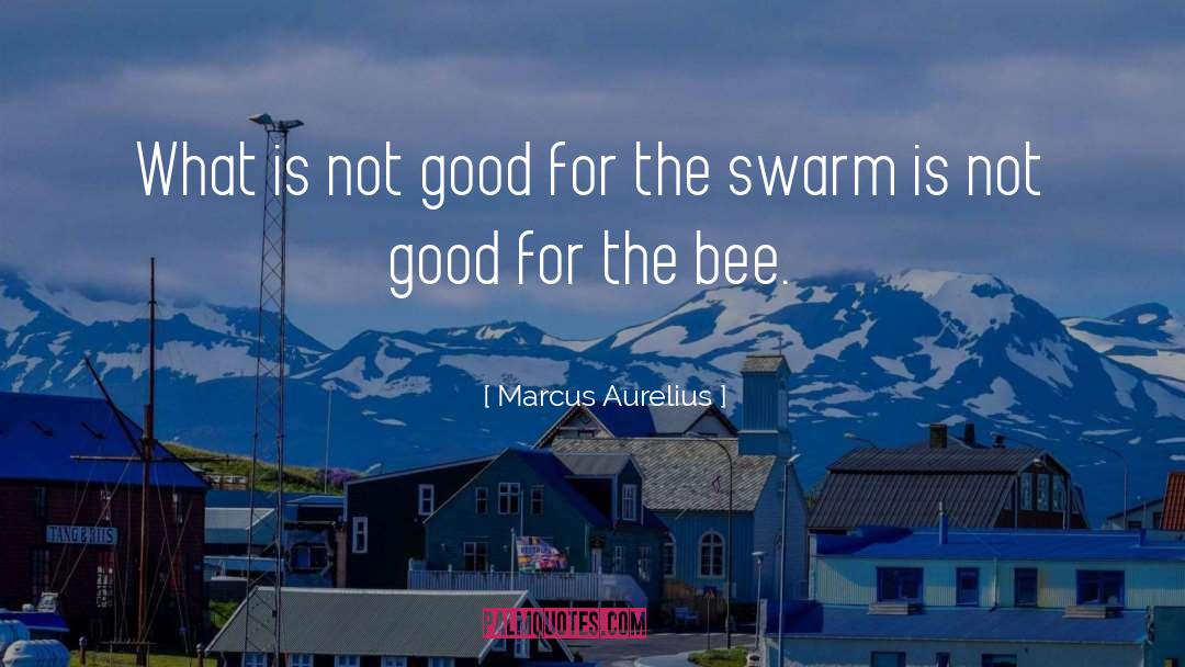 Honey Bee quotes by Marcus Aurelius