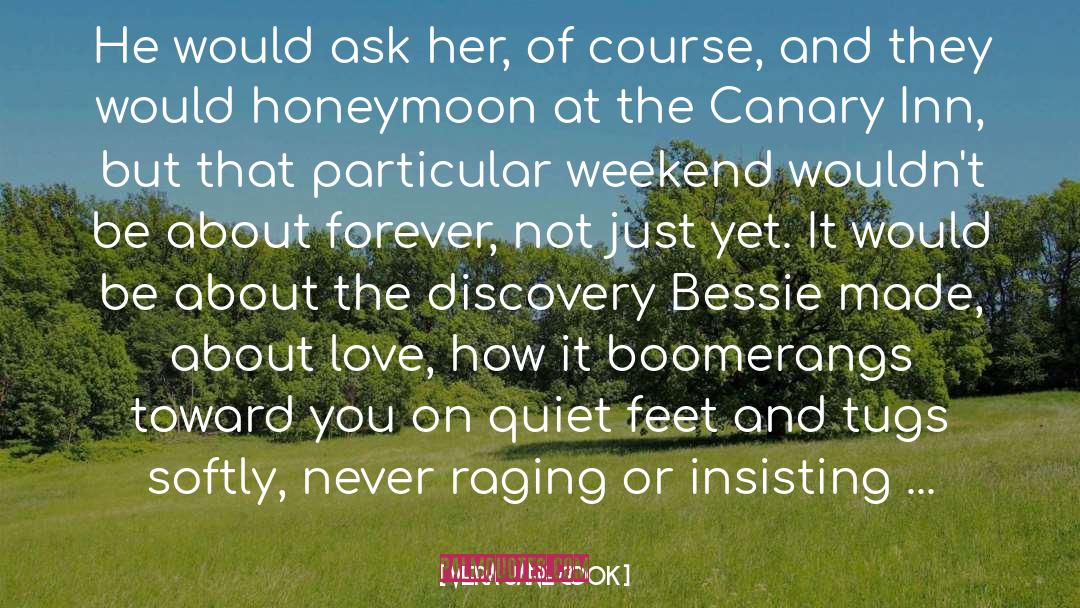 Honeymoon quotes by Vera Jane Cook