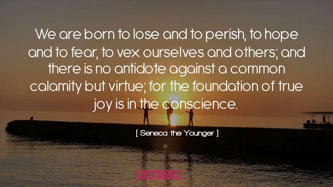 Honickman Foundation quotes by Seneca The Younger