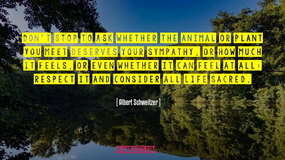 Honour And Respect quotes by Albert Schweitzer