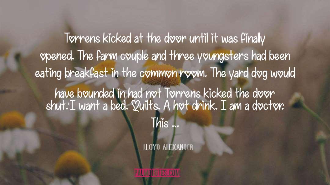 Hoosier Farmer Love quotes by Lloyd Alexander