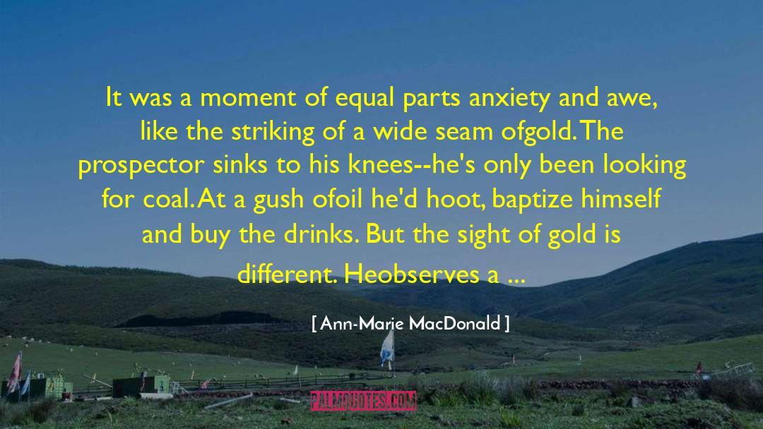 Hoot quotes by Ann-Marie MacDonald