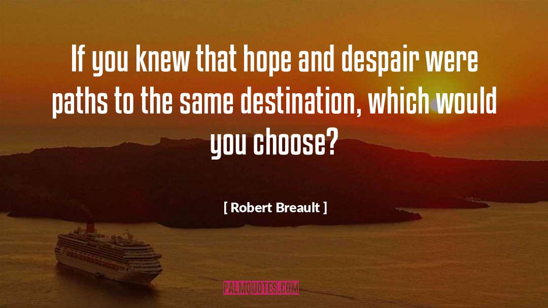 Hope And Despair quotes by Robert Breault