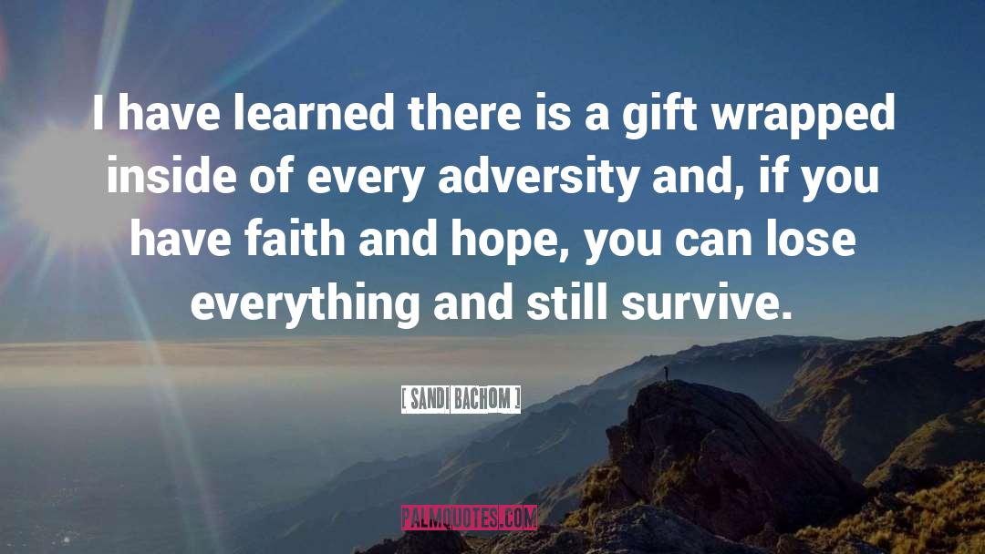 Hope And Faith quotes by Sandi Bachom