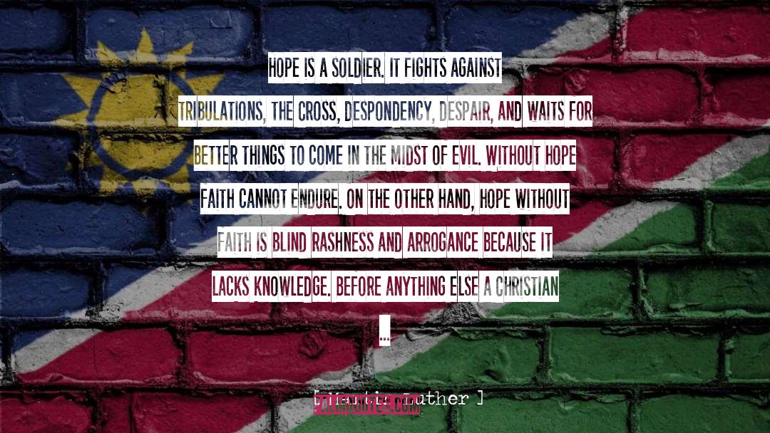 Hope Faith quotes by Martin Luther