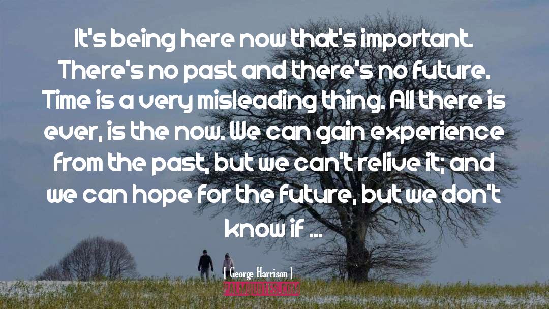 Hope For The Future quotes by George Harrison