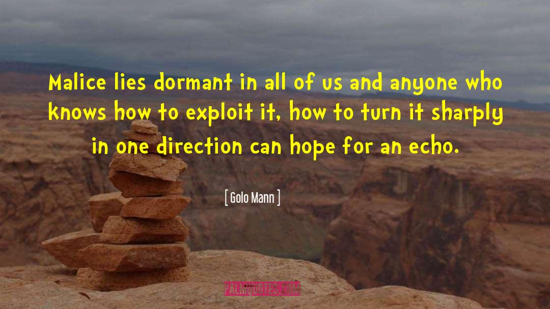 Hope Motivational quotes by Golo Mann
