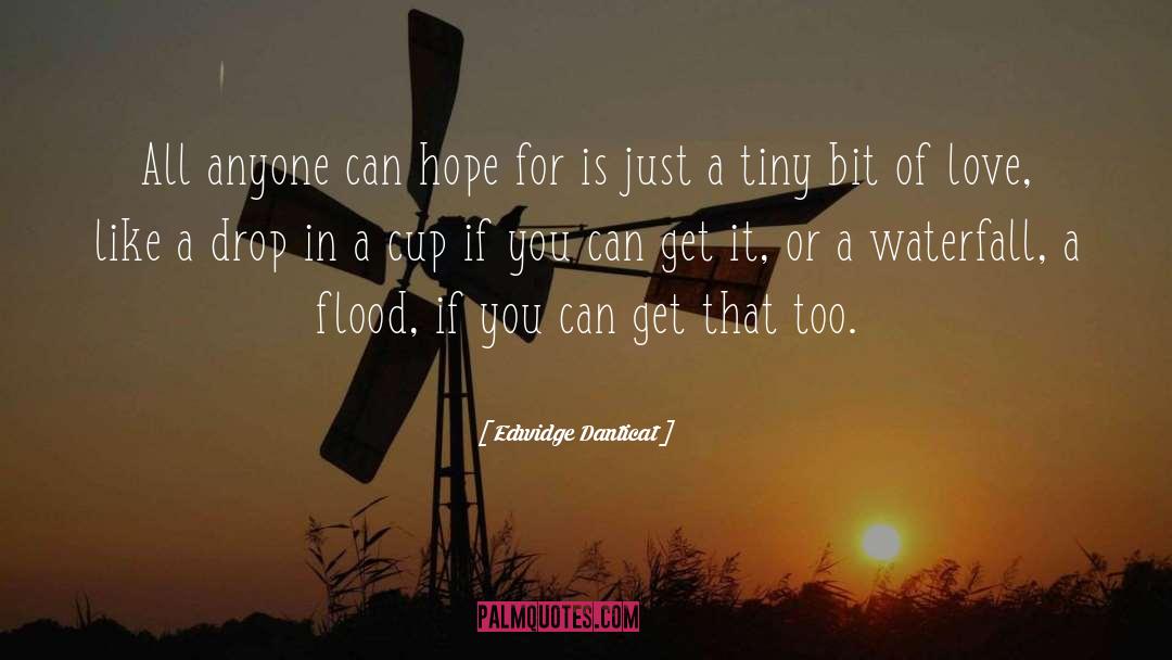 Hope quotes by Edwidge Danticat