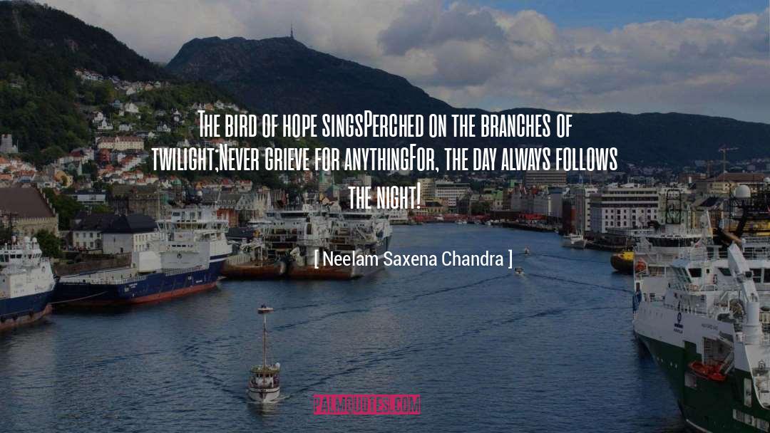 Hopeful quotes by Neelam Saxena Chandra