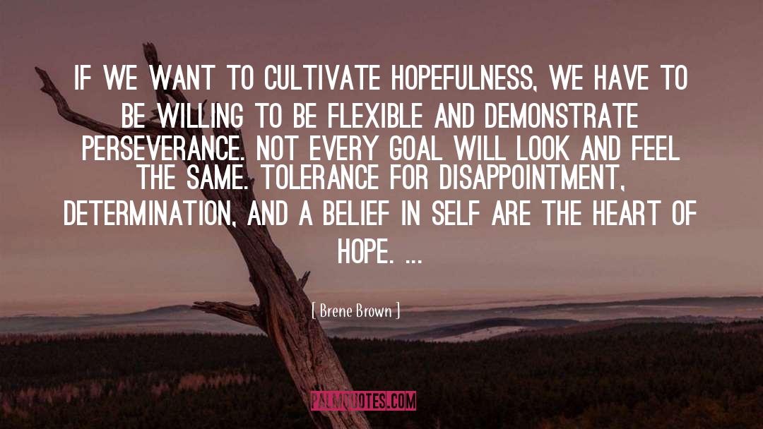 Hopefulness quotes by Brene Brown