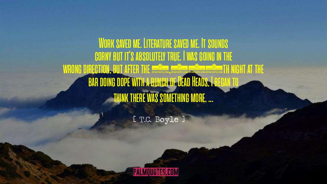 Hopelessly Going After Something quotes by T.C. Boyle