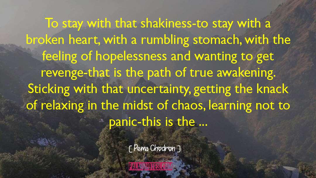 Hopelessness quotes by Pema Chodron