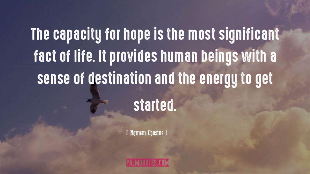 Hopes In Life quotes by Norman Cousins