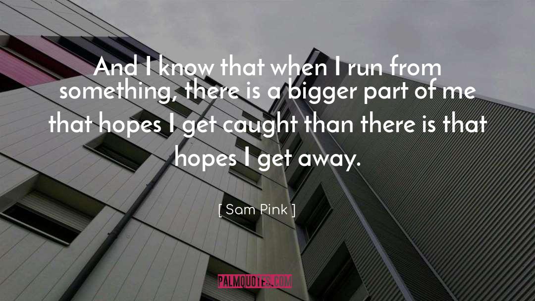 Hopes quotes by Sam Pink