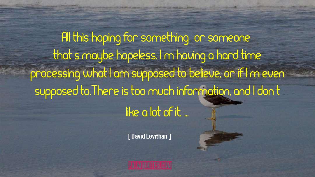 Hoping For Something quotes by David Levithan