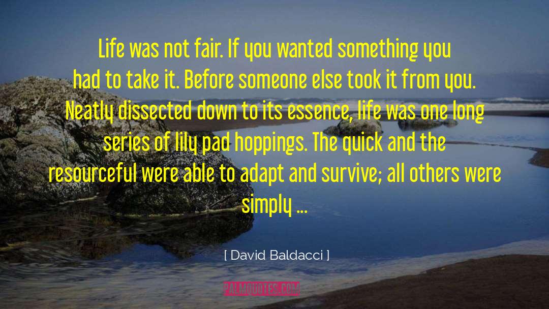 Hopping quotes by David Baldacci