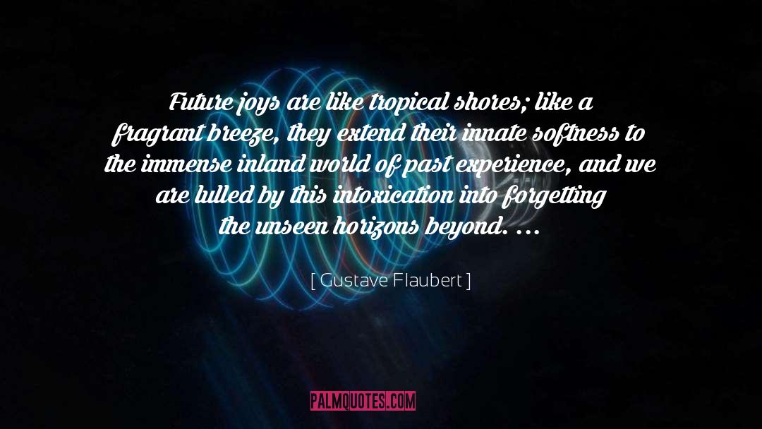 Horizons quotes by Gustave Flaubert