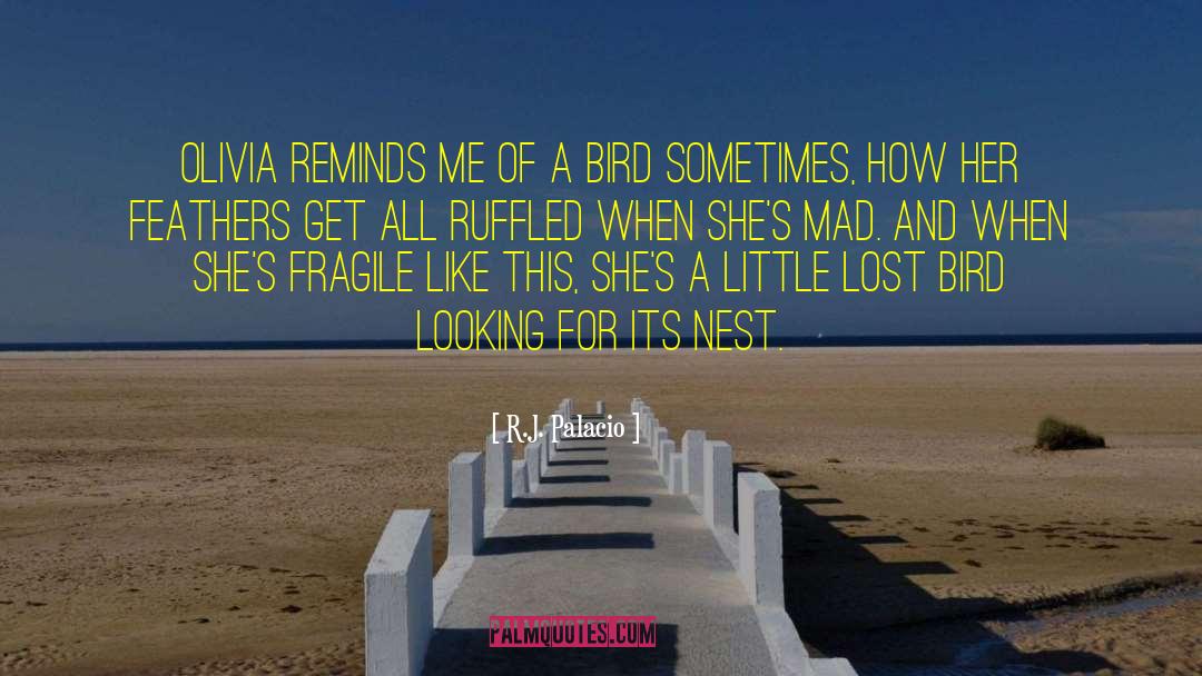 Hornet S Nest quotes by R.J. Palacio