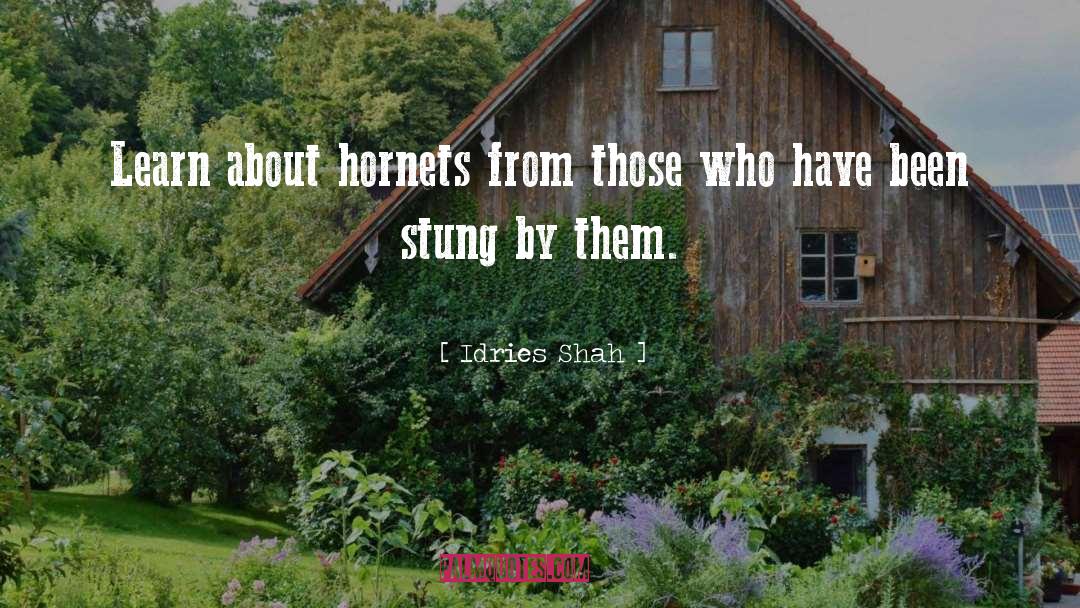 Hornets quotes by Idries Shah