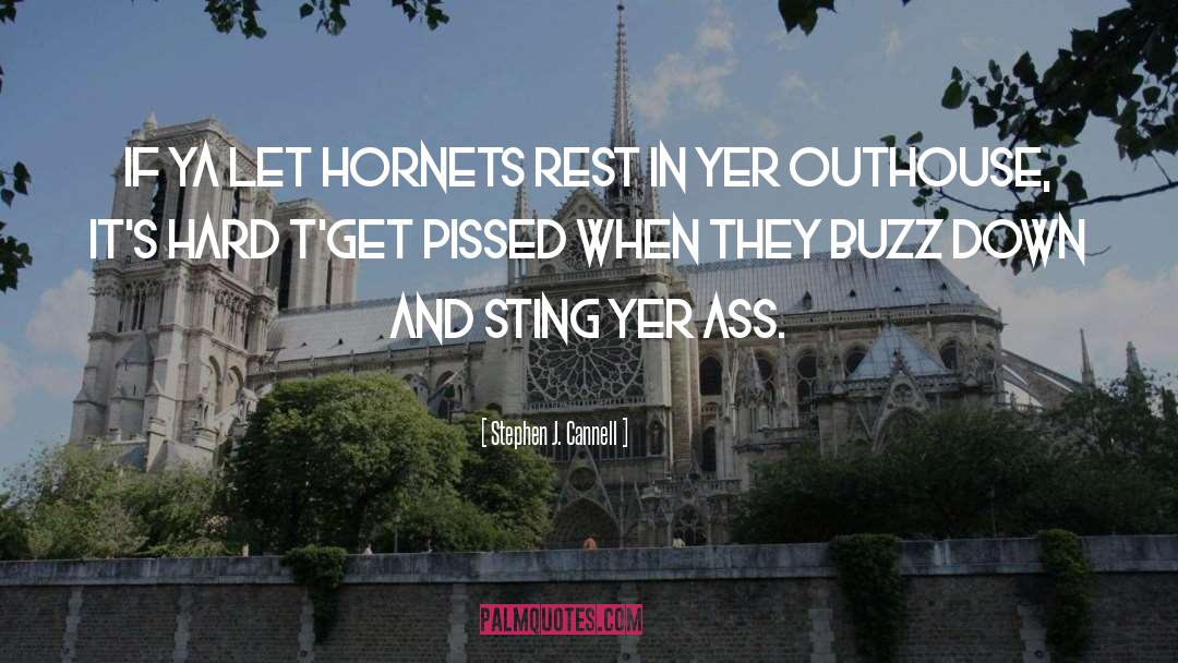 Hornets quotes by Stephen J. Cannell