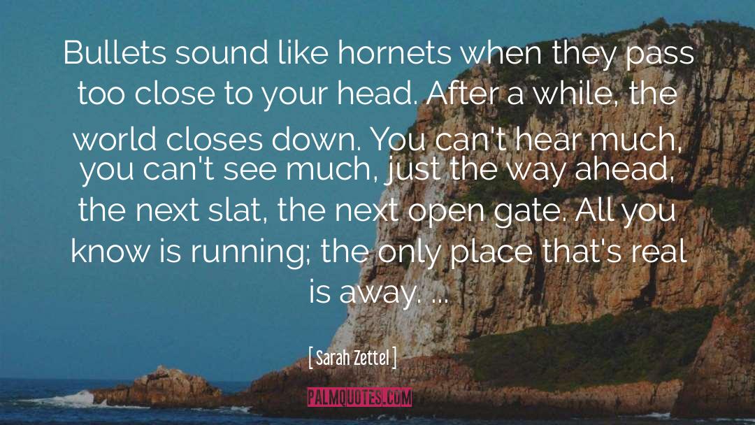 Hornets quotes by Sarah Zettel