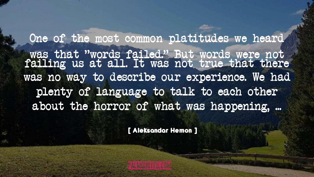 Horror quotes by Aleksandar Hemon