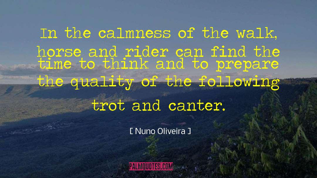 Horse And Rider quotes by Nuno Oliveira