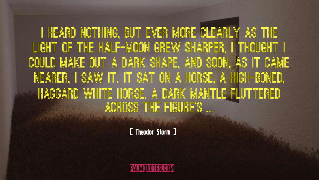 Horse And Rider quotes by Theodor Storm