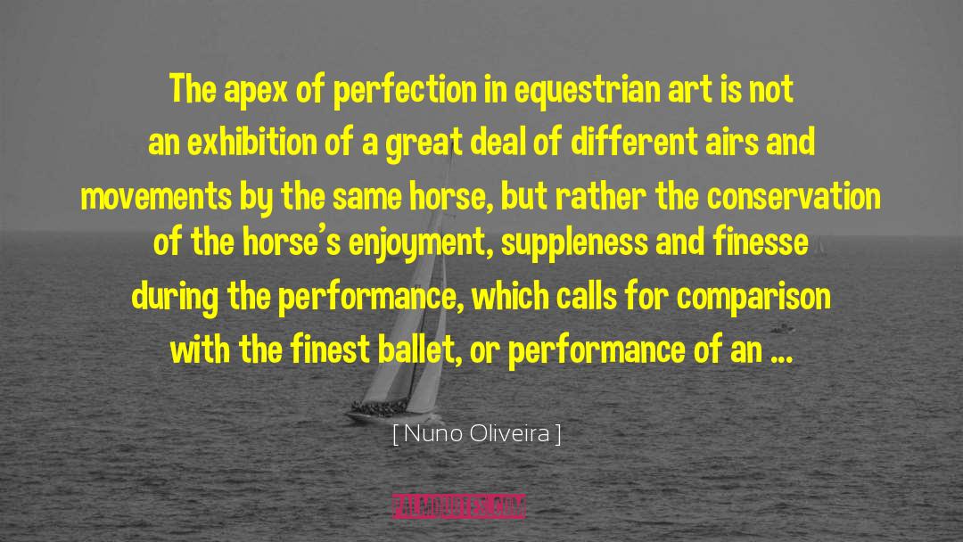 Horse Of A Different Color quotes by Nuno Oliveira