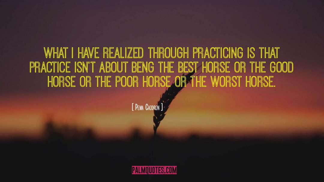 Horse Of A Different Color quotes by Pema Chodron