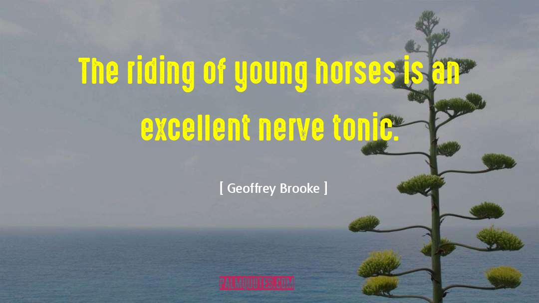 Horse Riding quotes by Geoffrey Brooke