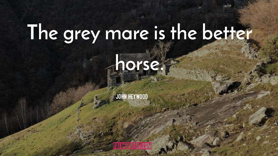 Horse Riding quotes by John Heywood