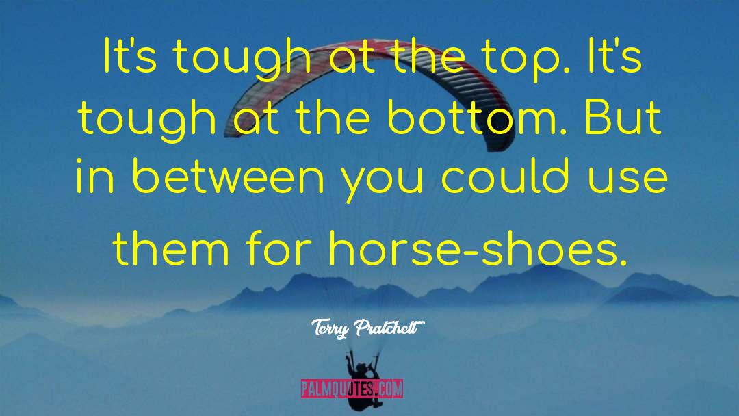 Horse Shoes quotes by Terry Pratchett