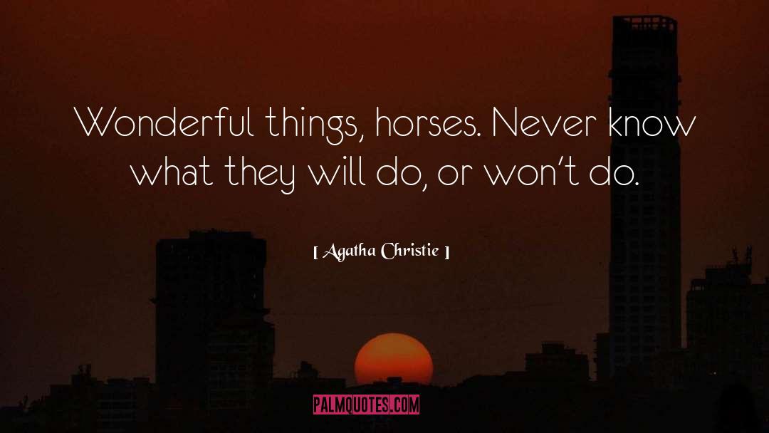 Horse Trainer quotes by Agatha Christie