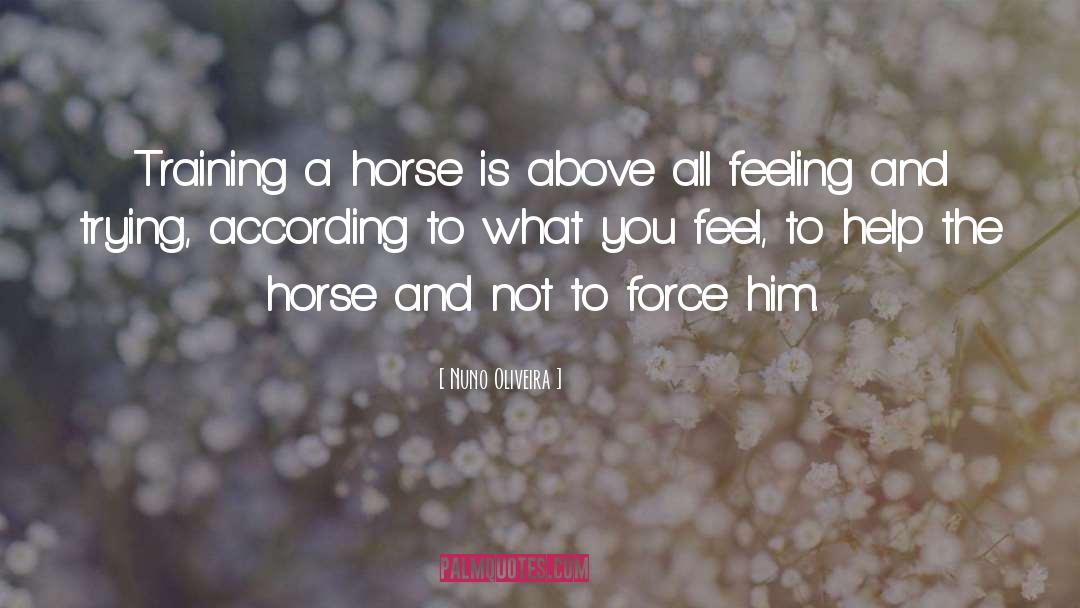 Horse Transporter quotes by Nuno Oliveira