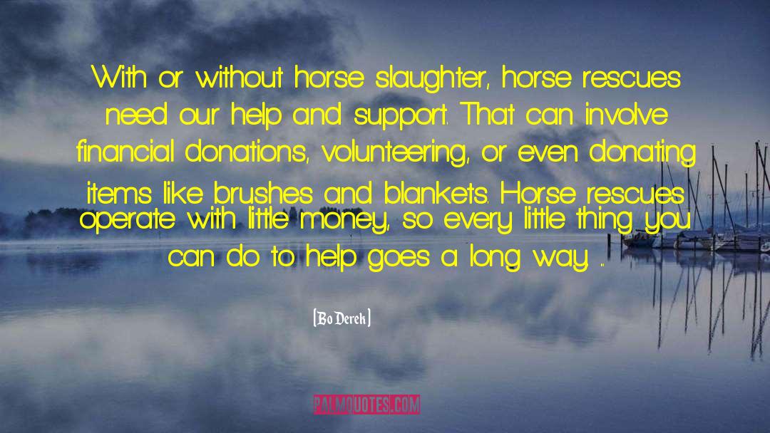 Horse Transporter quotes by Bo Derek