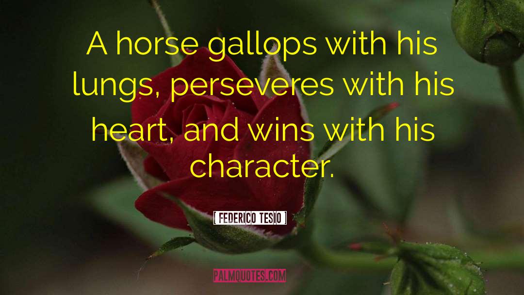 Horse Transporter quotes by Federico Tesio