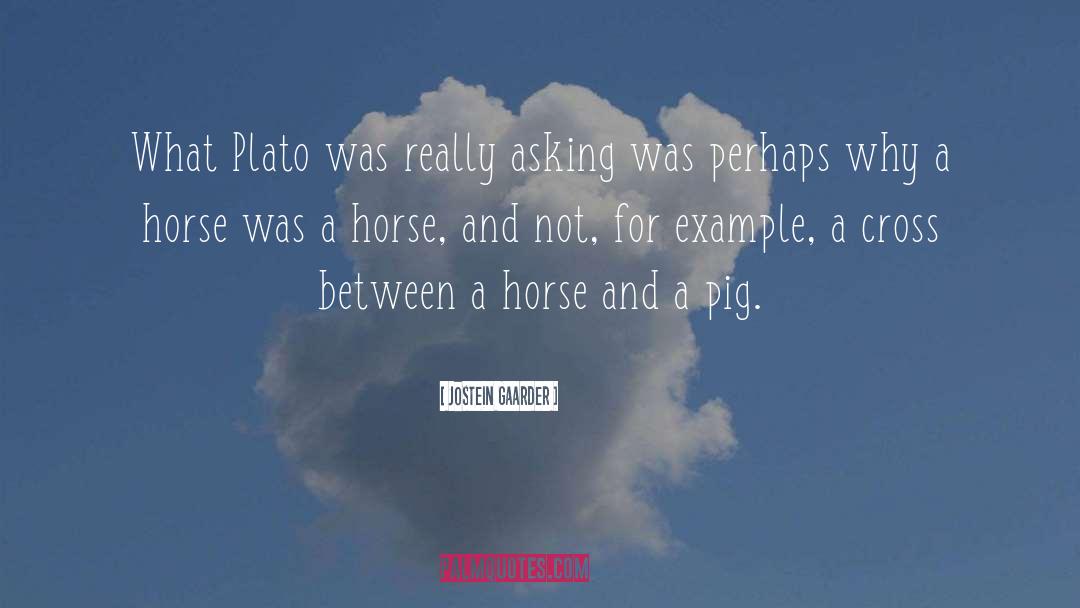 Horse Transporter quotes by Jostein Gaarder