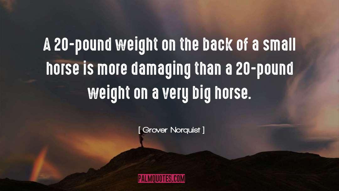 Horse Transporter quotes by Grover Norquist