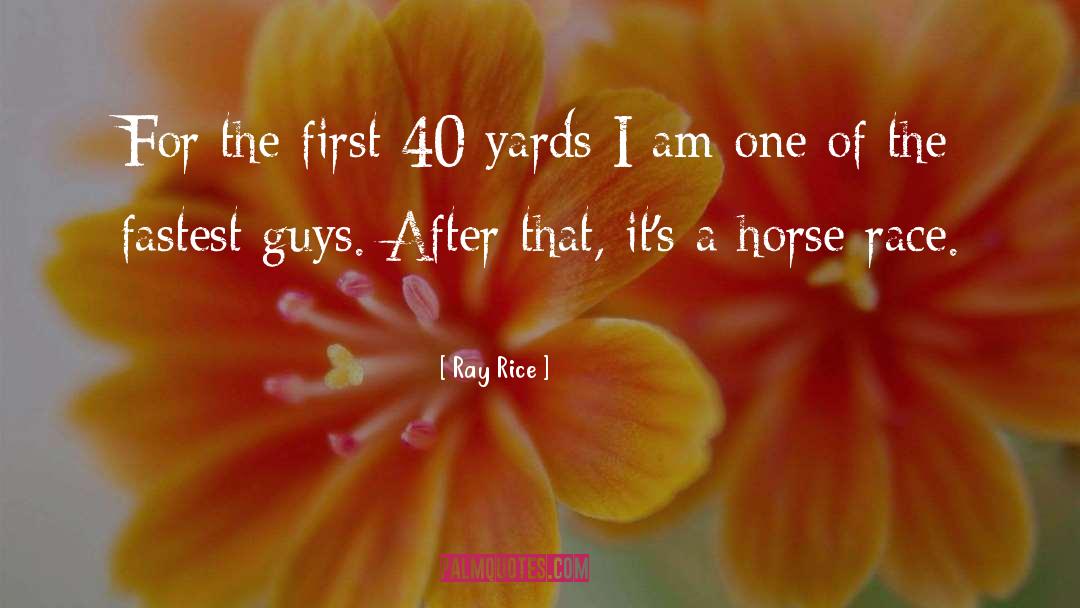 Horse Transporter quotes by Ray Rice