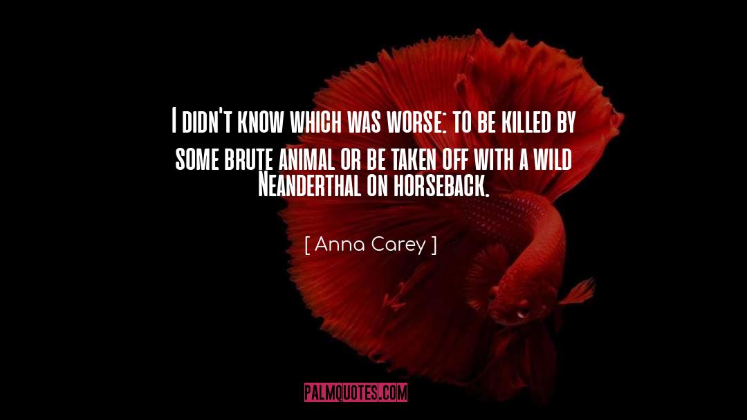 Horseback quotes by Anna Carey