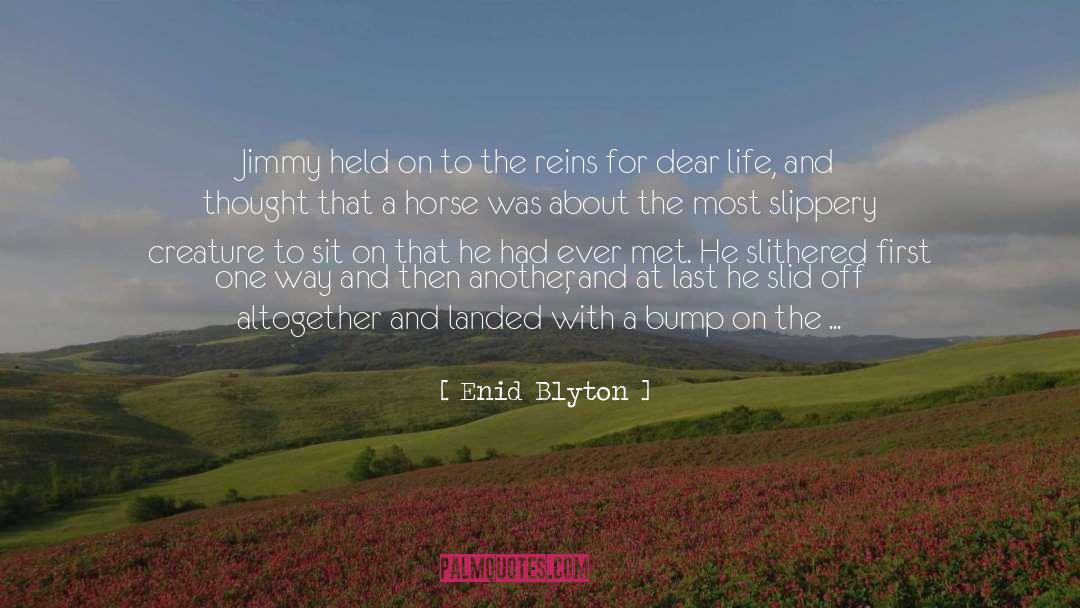 Horseback Riding quotes by Enid Blyton