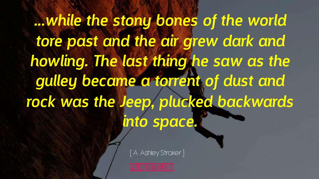 Horsemen Of The Apocalypse quotes by A. Ashley Straker