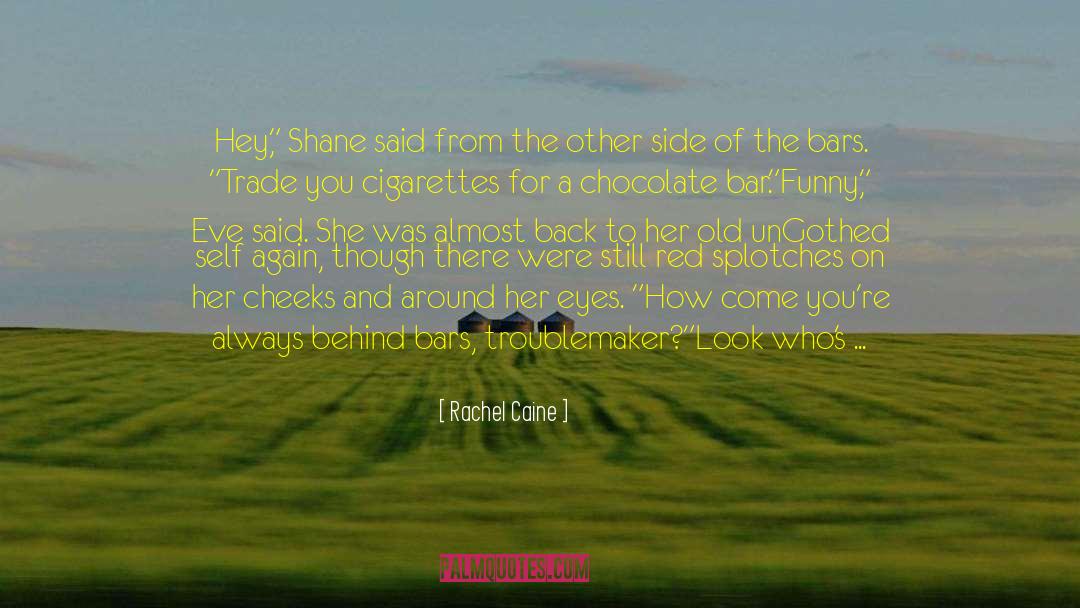 Horsepower quotes by Rachel Caine