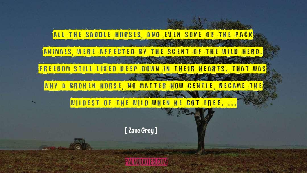 Horses And Dogs quotes by Zane Grey