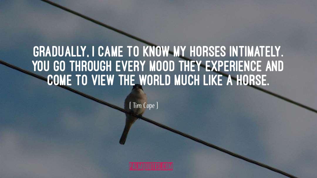 Horses Treachery quotes by Tim Cope