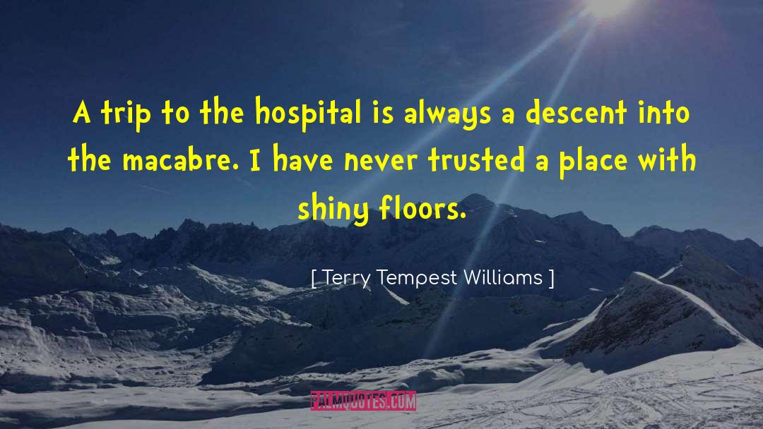 Hospitals quotes by Terry Tempest Williams